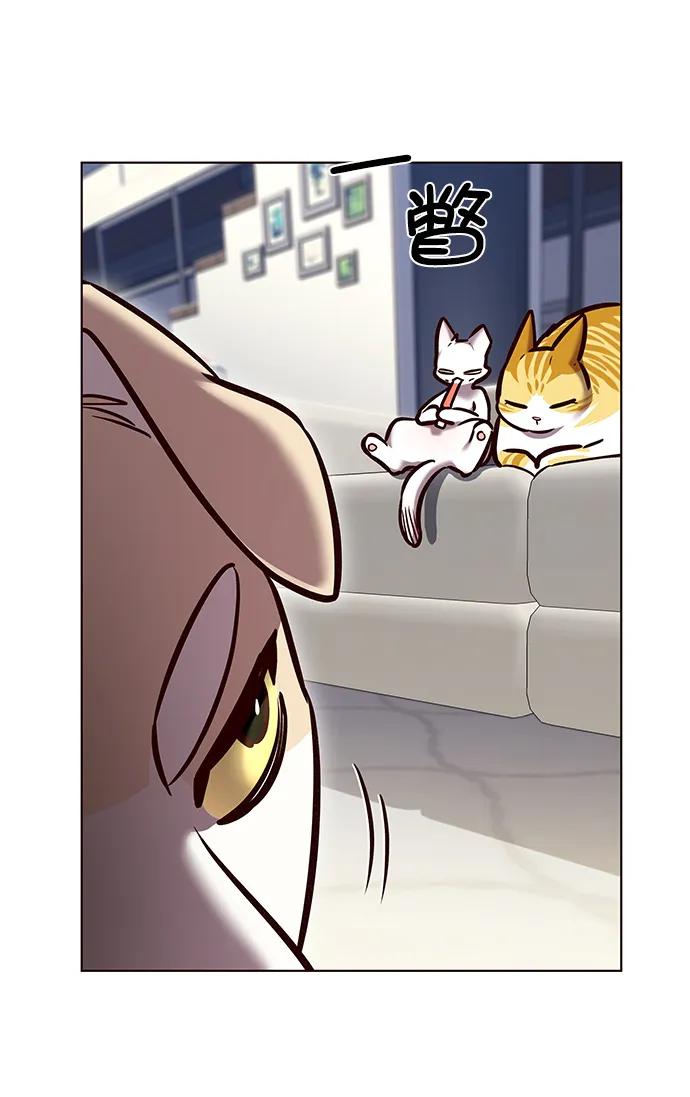 第280话-觉醒吧，铲屎官！-孙齐皓,ZHENA（第8张）