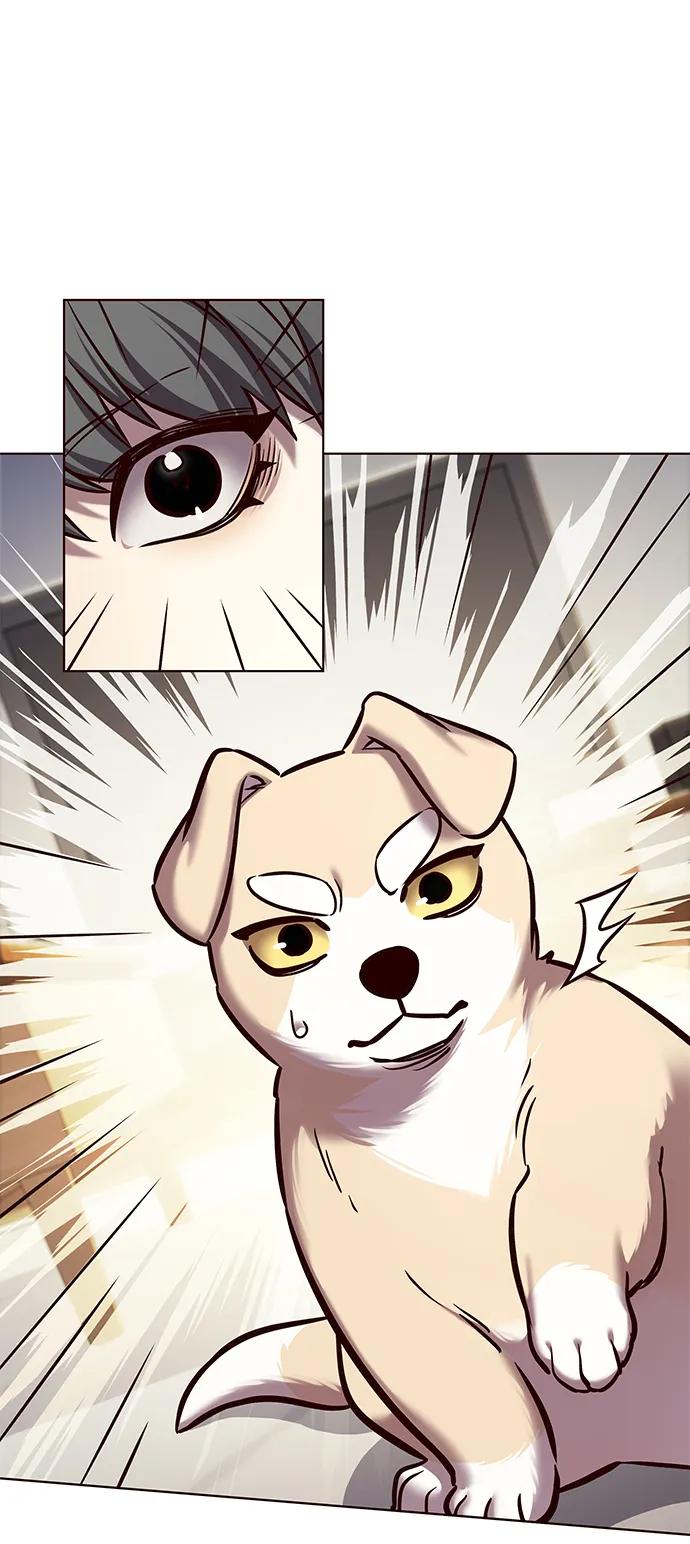 第280话-觉醒吧，铲屎官！-孙齐皓,ZHENA（第20张）