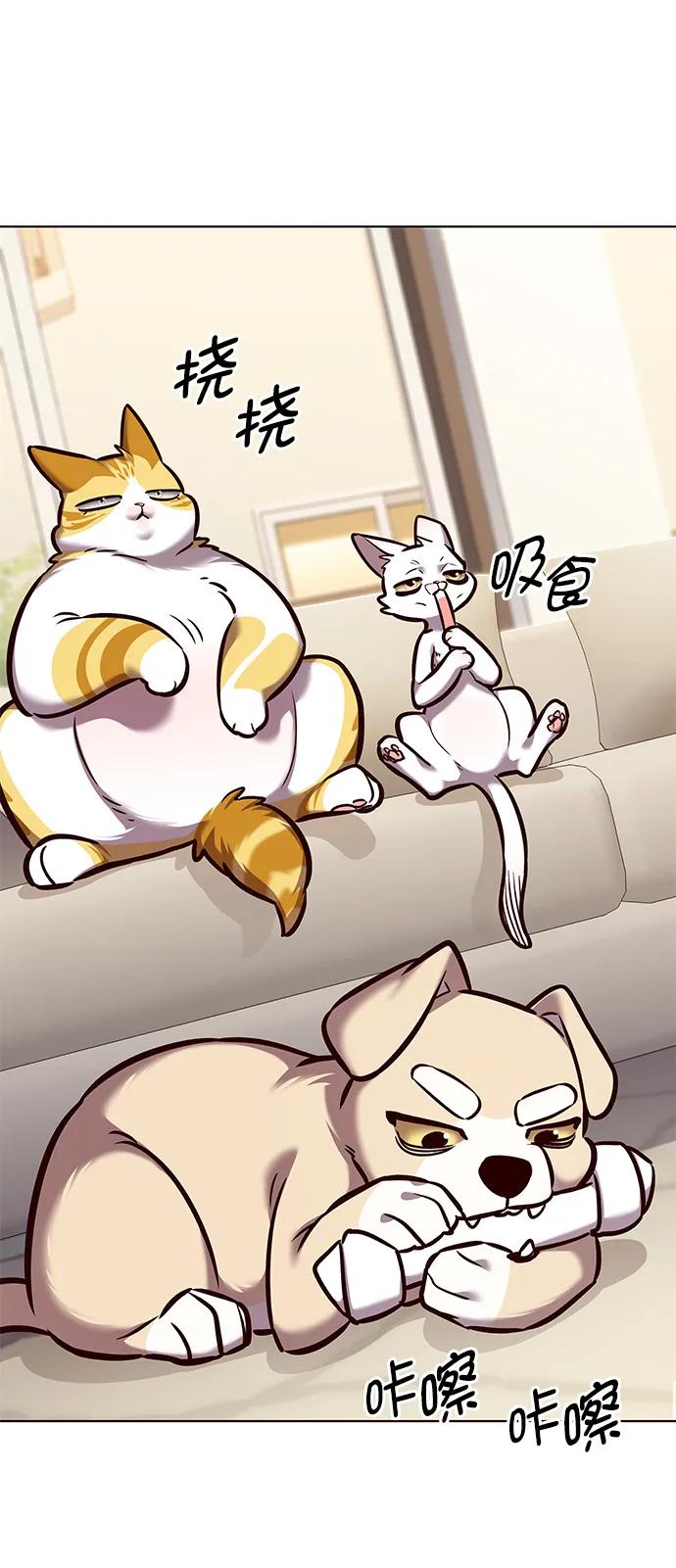第291话-觉醒吧，铲屎官！-孙齐皓,ZHENA（第5张）