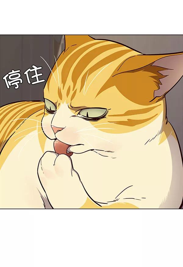 第29话-觉醒吧，铲屎官！-孙齐皓,ZHENA（第27张）