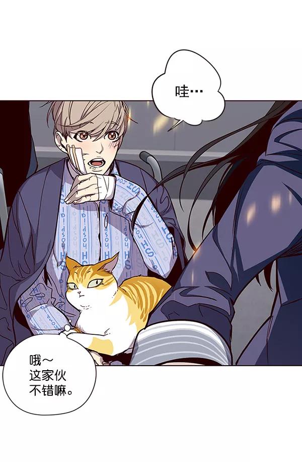 第33话-觉醒吧，铲屎官！-孙齐皓,ZHENA（第30张）