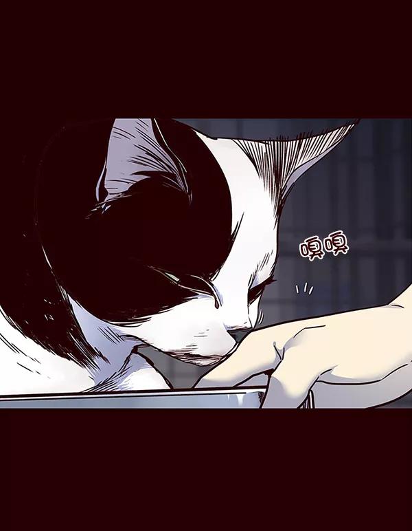 第36话-觉醒吧，铲屎官！-孙齐皓,ZHENA（第24张）