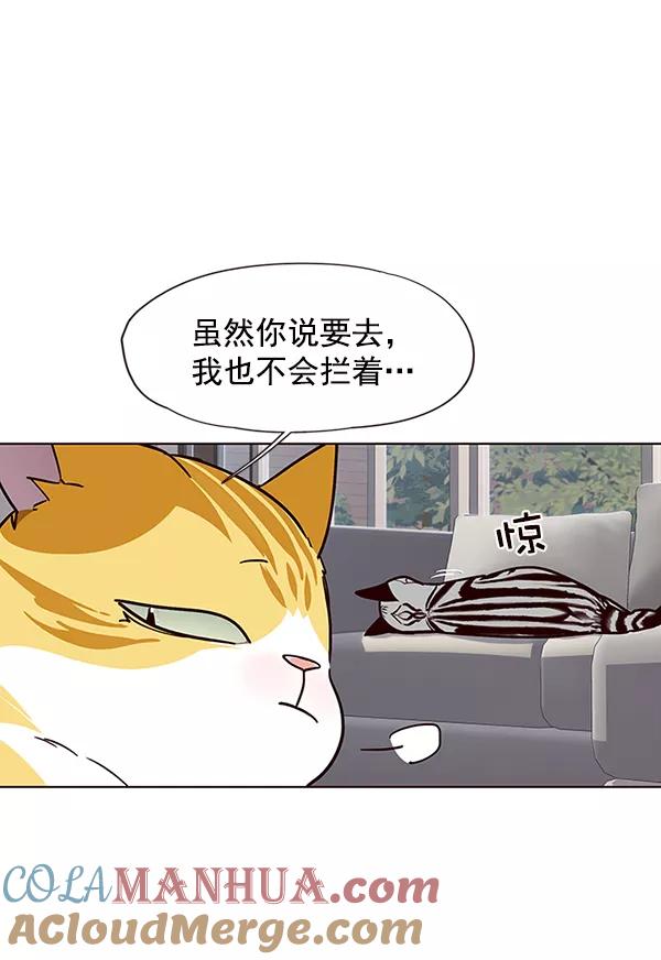 第37话-觉醒吧，铲屎官！-孙齐皓,ZHENA（第37张）