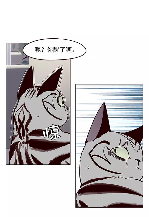 第37话-觉醒吧，铲屎官！-孙齐皓,ZHENA（第39张）