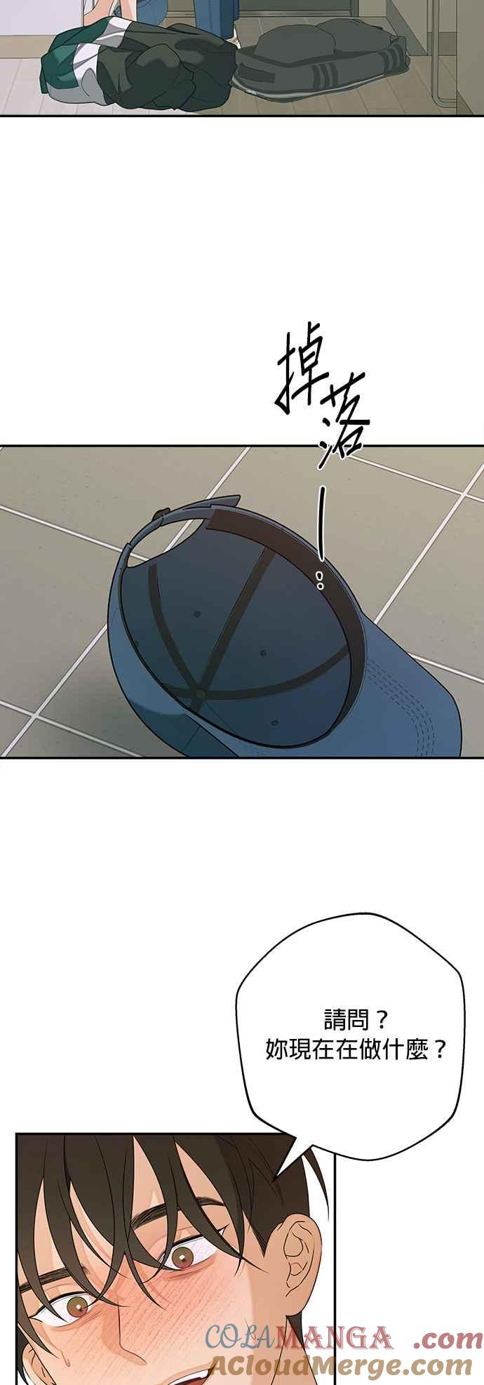43.jpg