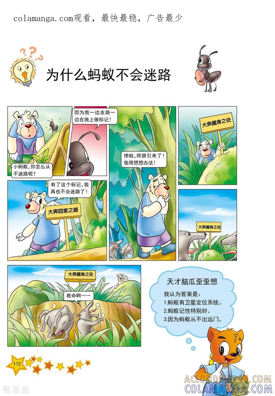 最终话-虹猫蓝兔十万个为什么-虹猫蓝兔（第1张）