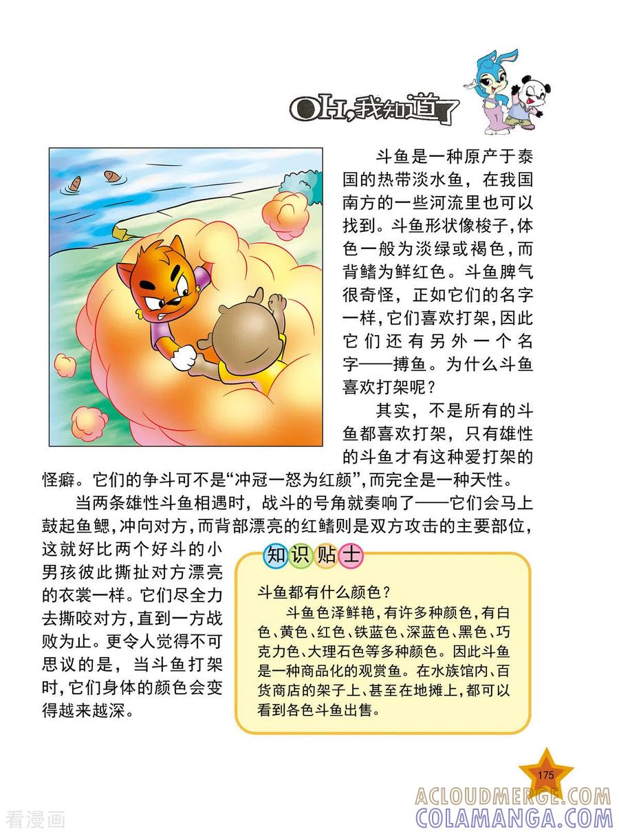 最终话-虹猫蓝兔十万个为什么-虹猫蓝兔（第4张）