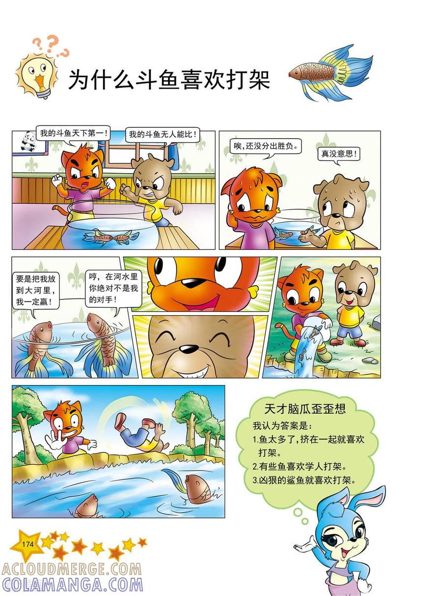 最终话-虹猫蓝兔十万个为什么-虹猫蓝兔（第3张）