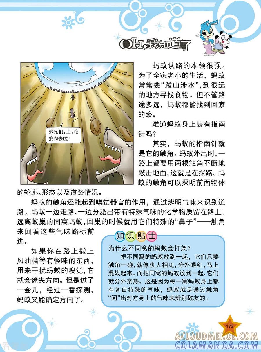 最终话-虹猫蓝兔十万个为什么-虹猫蓝兔（第2张）
