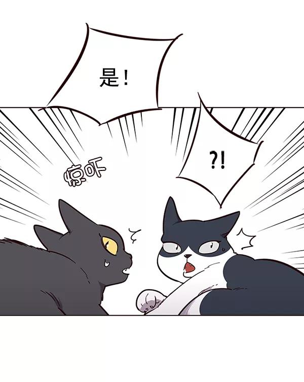 第50话-觉醒吧，铲屎官！-孙齐皓,ZHENA（第24张）