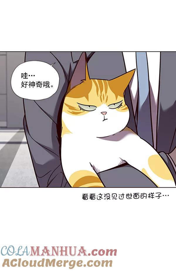 第53话-觉醒吧，铲屎官！-孙齐皓,ZHENA（第29张）