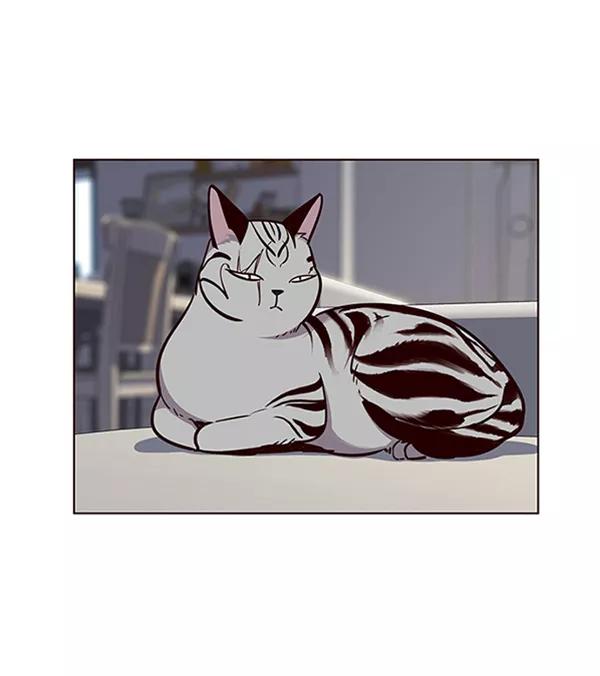 第55话-觉醒吧，铲屎官！-孙齐皓,ZHENA（第18张）