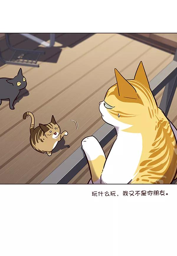 第55话-觉醒吧，铲屎官！-孙齐皓,ZHENA（第27张）