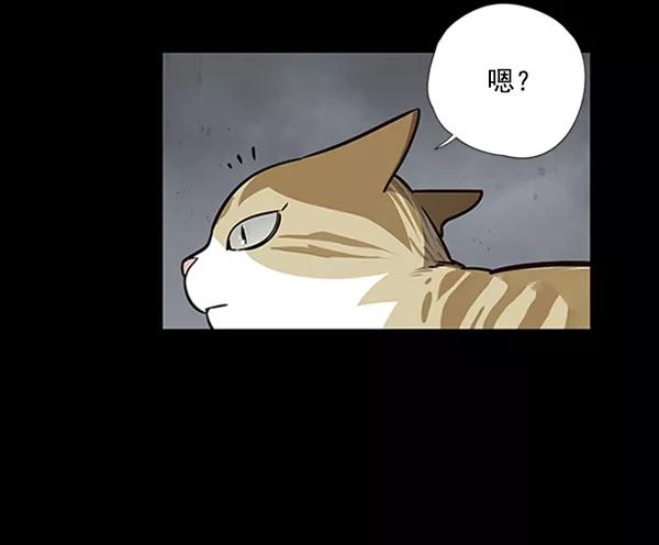 第56话-觉醒吧，铲屎官！-孙齐皓,ZHENA（第4张）