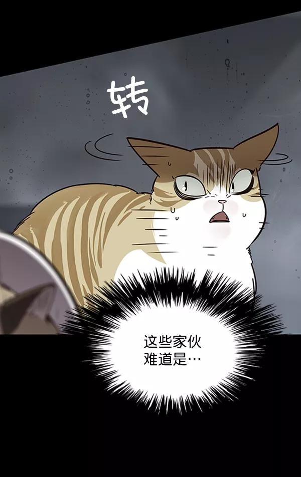 第56话-觉醒吧，铲屎官！-孙齐皓,ZHENA（第12张）