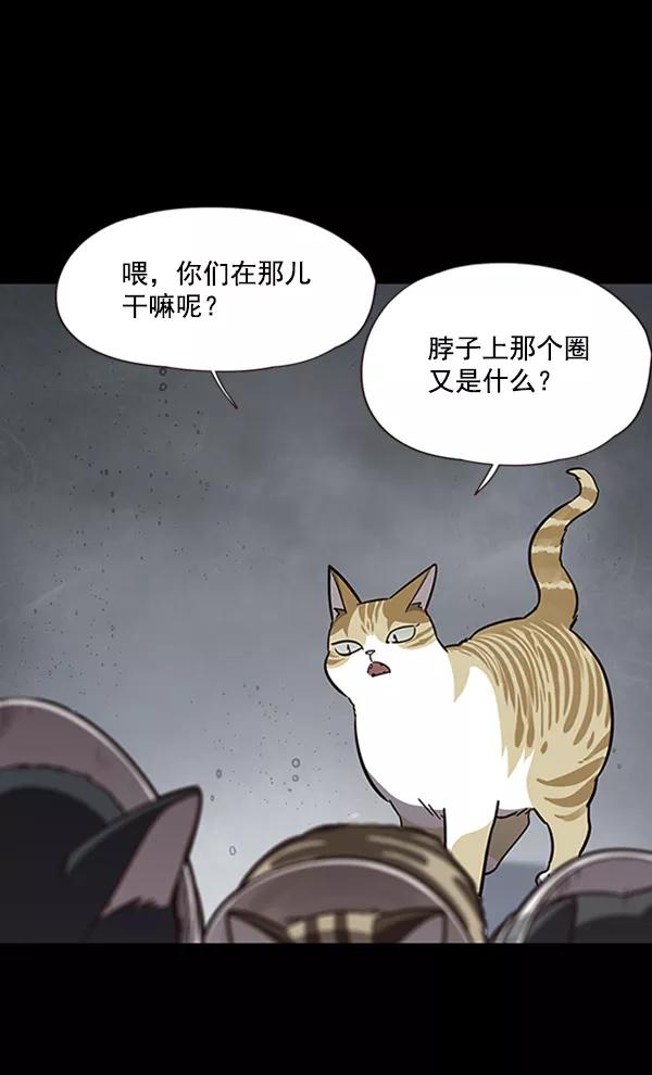 第56话-觉醒吧，铲屎官！-孙齐皓,ZHENA（第6张）
