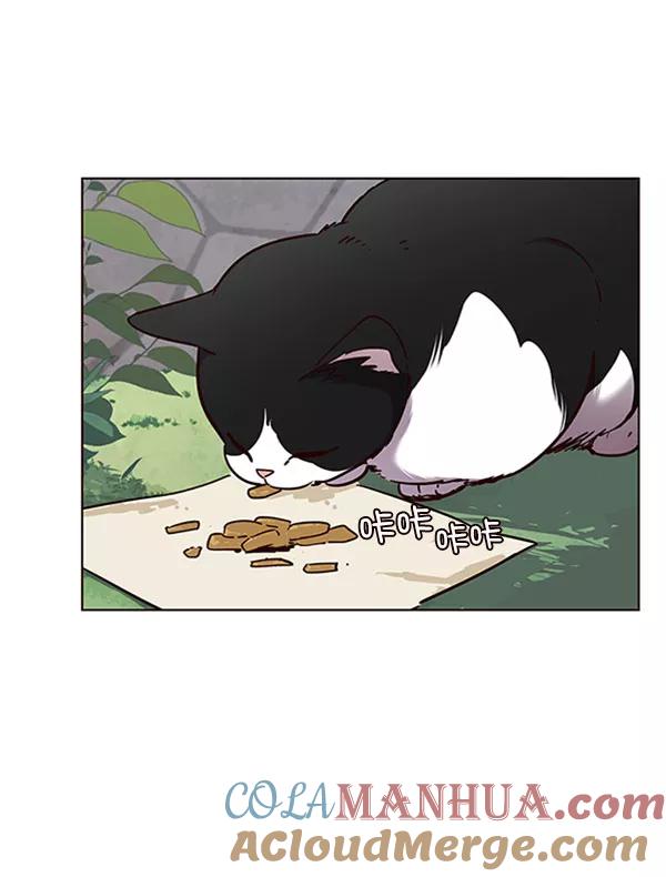 第57话-觉醒吧，铲屎官！-孙齐皓,ZHENA（第21张）