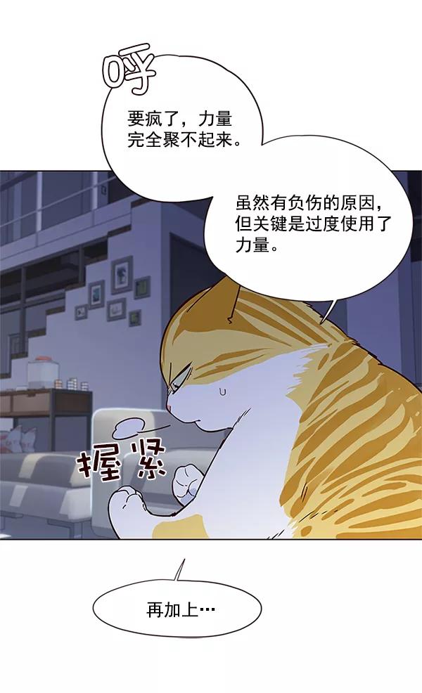 第8话-觉醒吧，铲屎官！-孙齐皓,ZHENA（第34张）