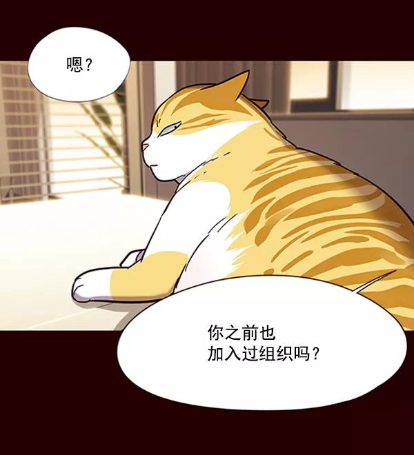 第96话-觉醒吧，铲屎官！-孙齐皓,ZHENA（第14张）