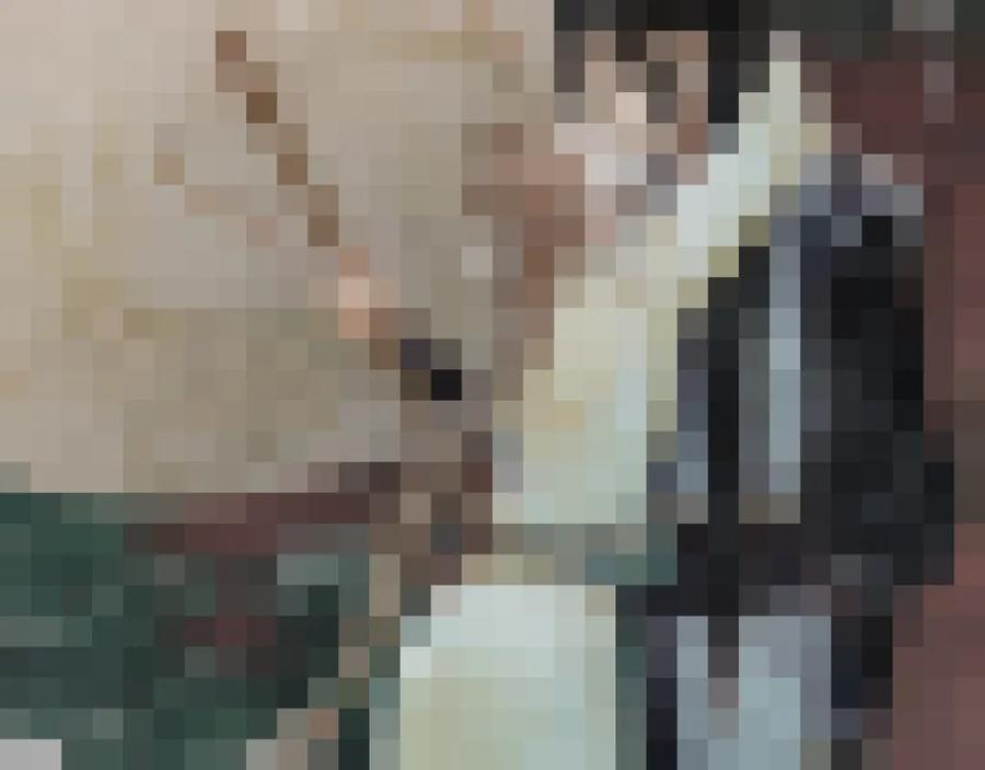 86.jpg