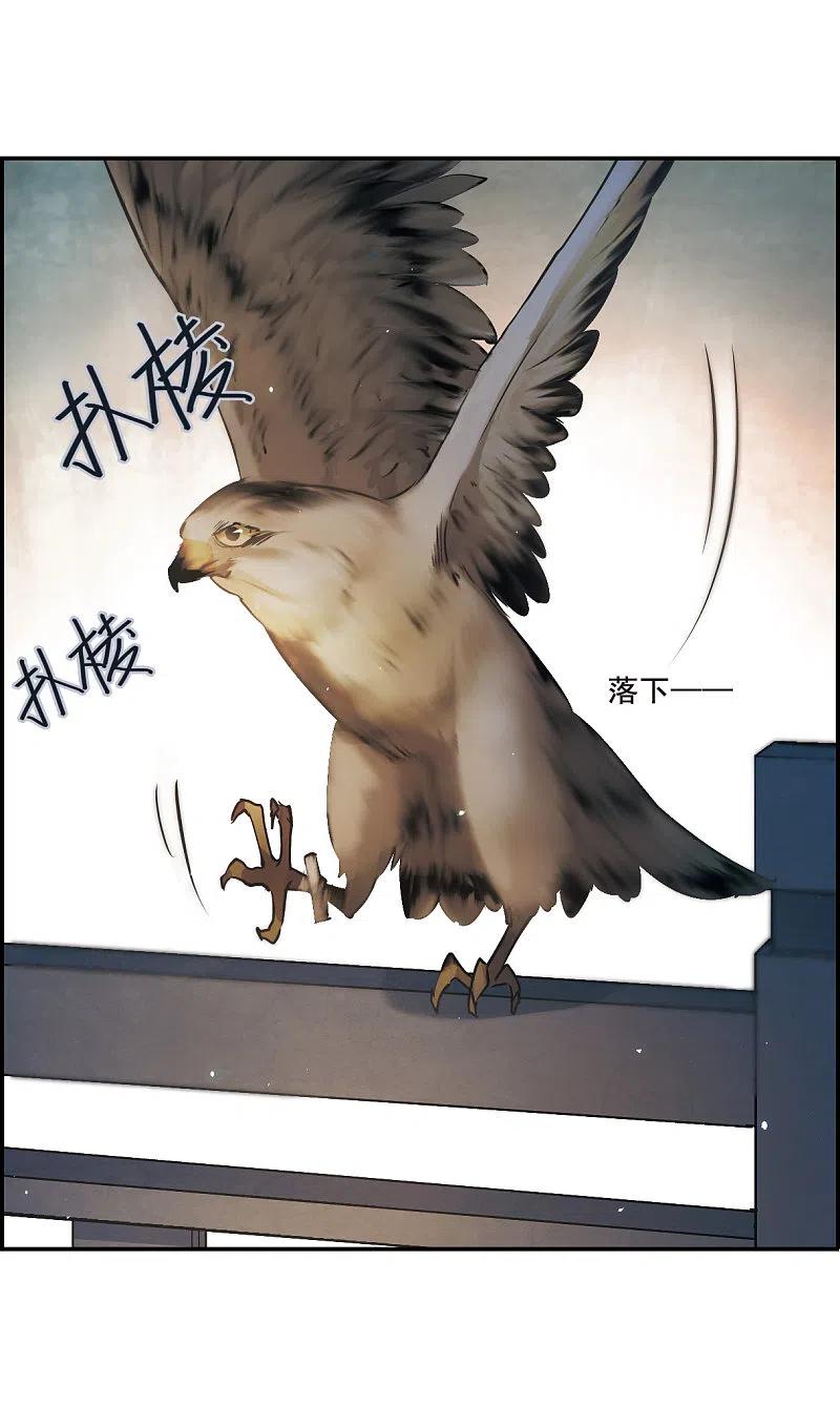 第39话逃离主家5-上国赋之千堆雪-飒飒动漫（第14张）