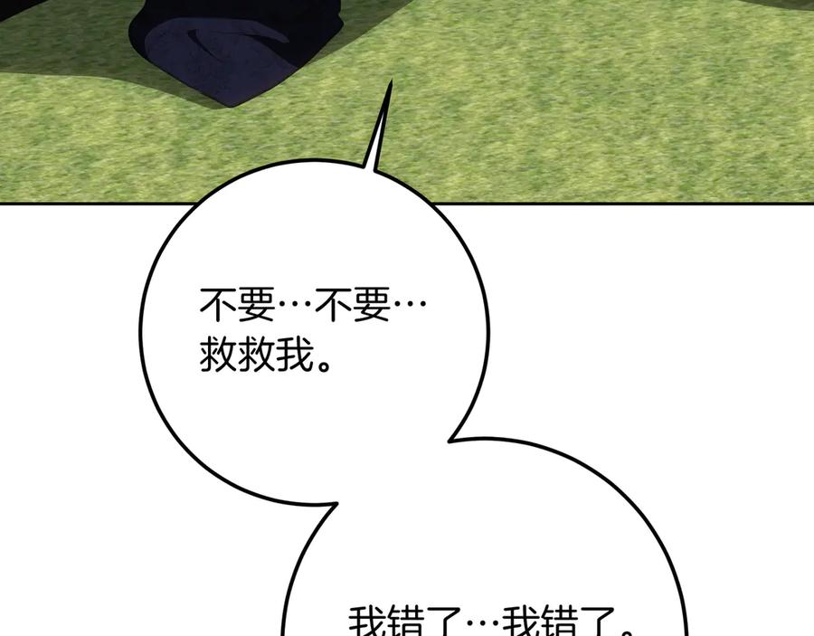 336.jpg