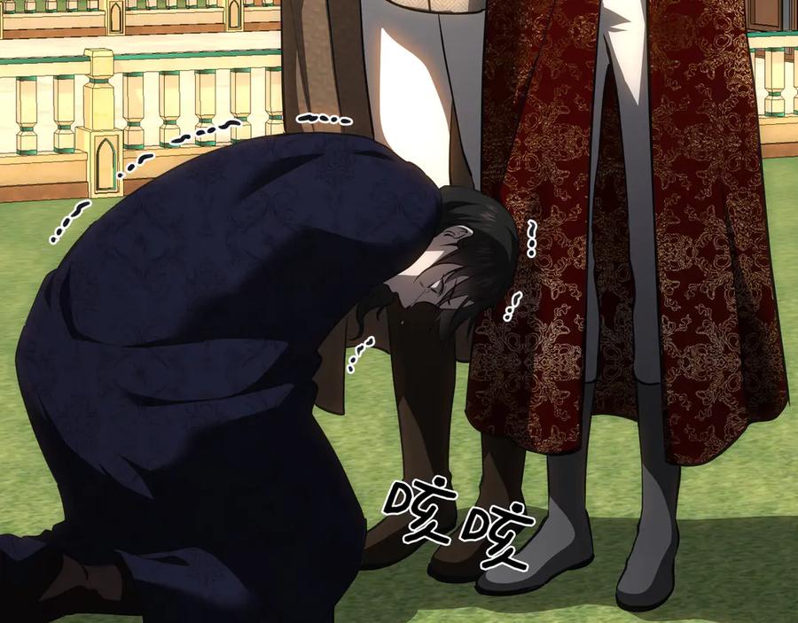 335.jpg