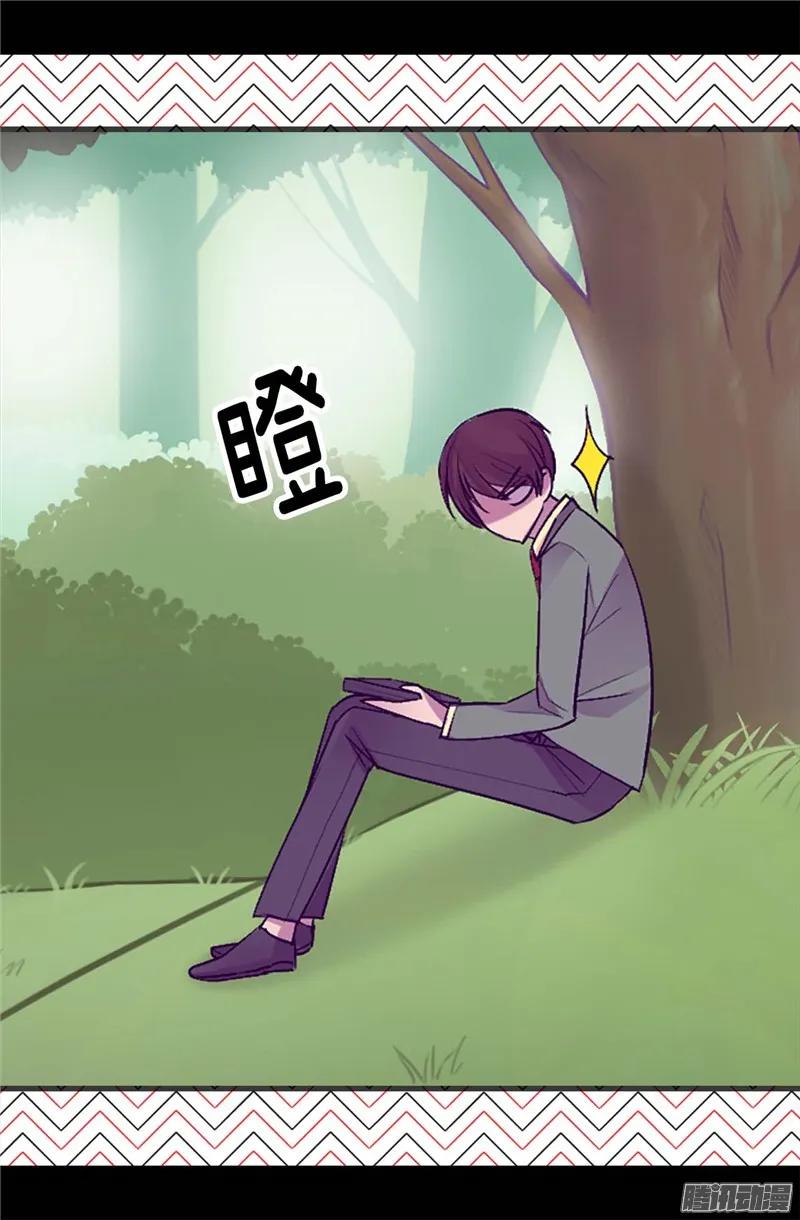 17.jpg
