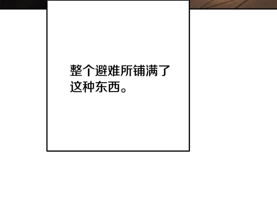 96.jpg