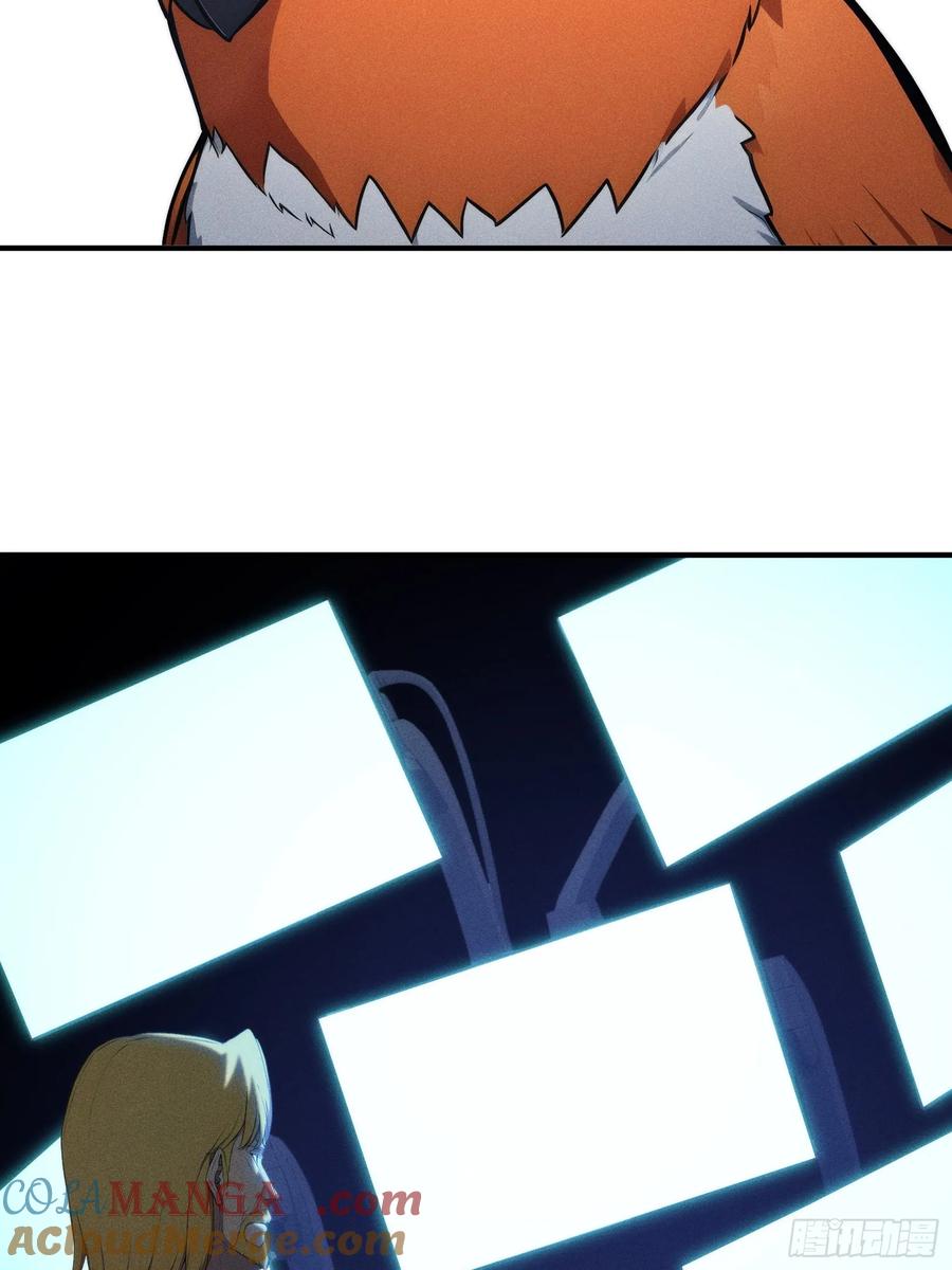 73.jpg