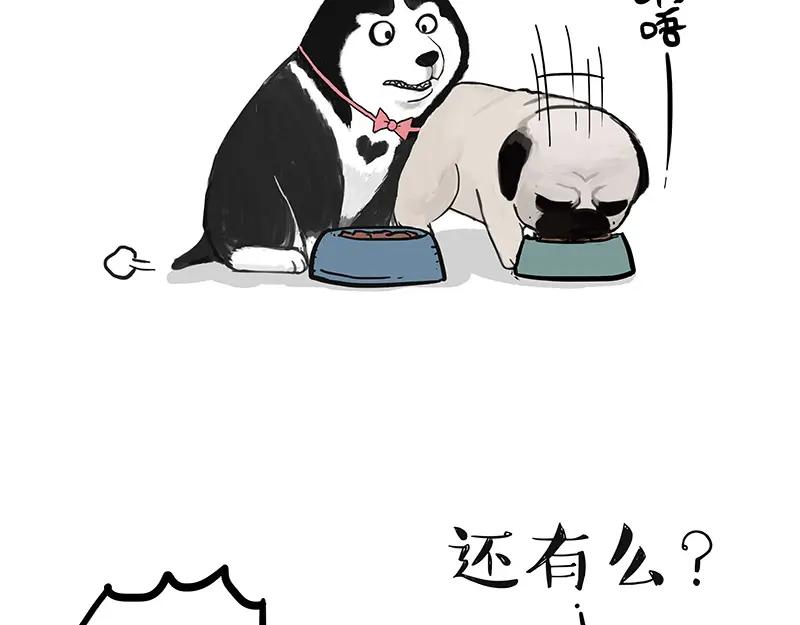 47.jpg