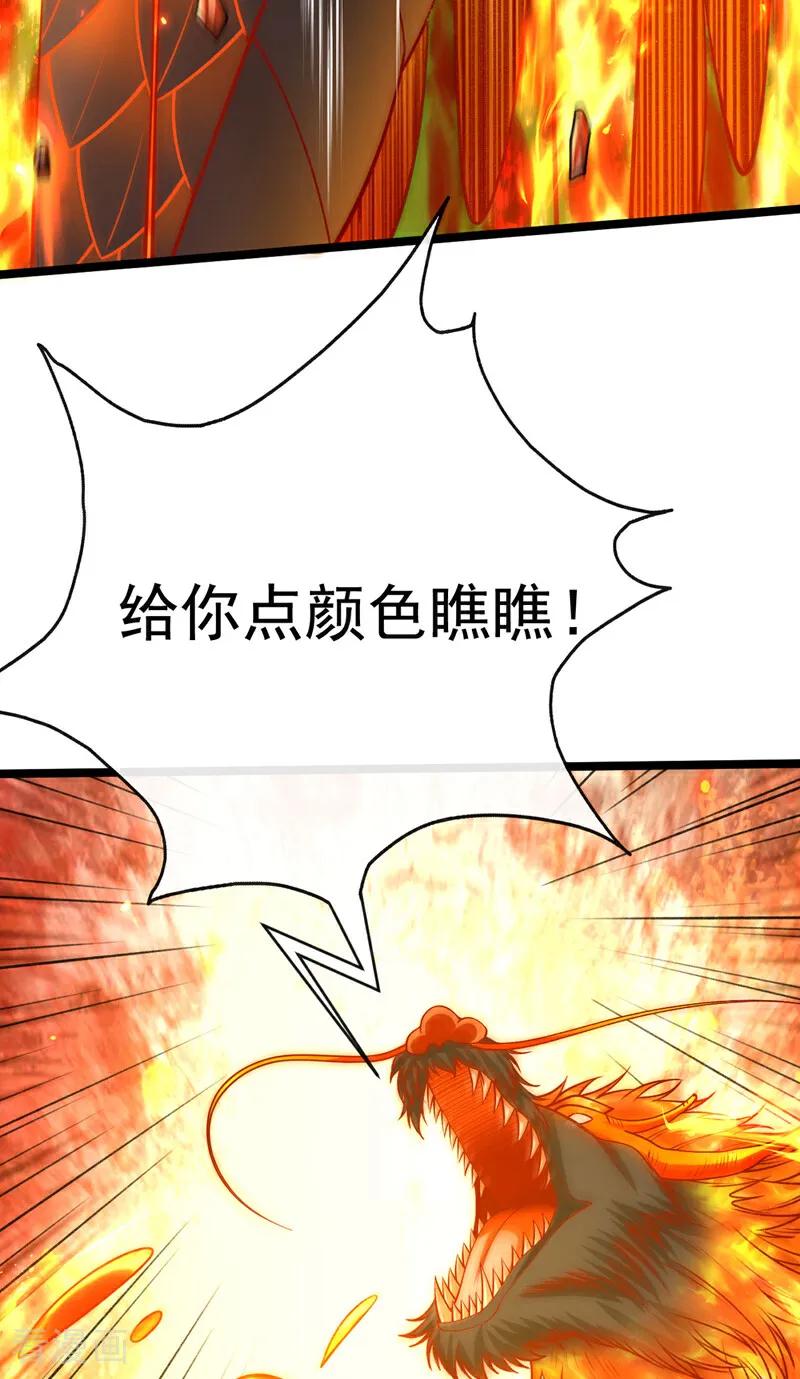 41.jpg