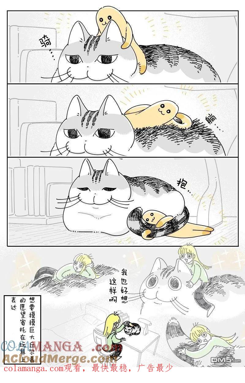 第254话-关于养猫我一直是新手-キュルZ（第1张）