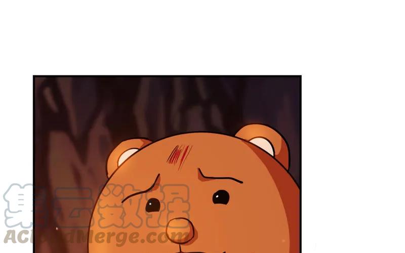 231.jpg