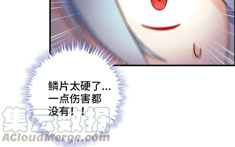86.jpg