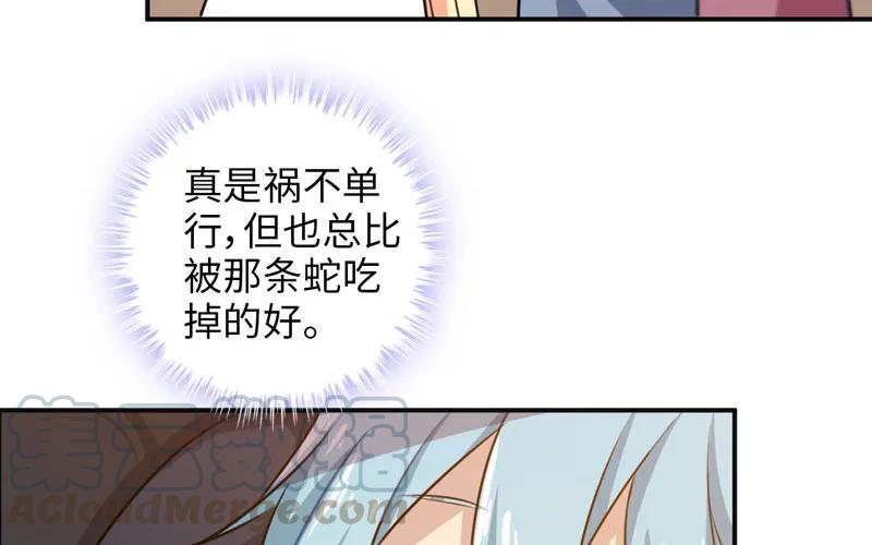 51.jpg
