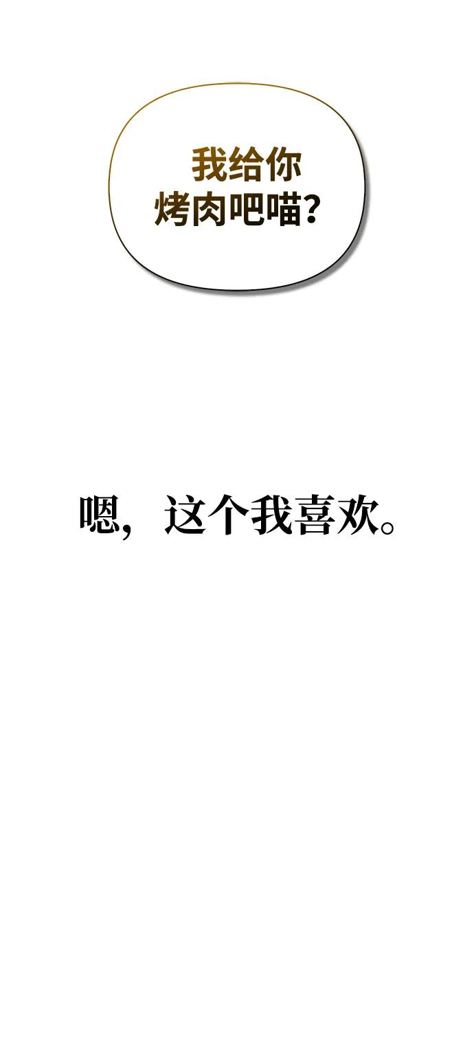 95.jpg