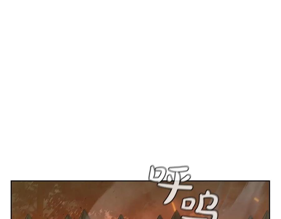 211.jpg