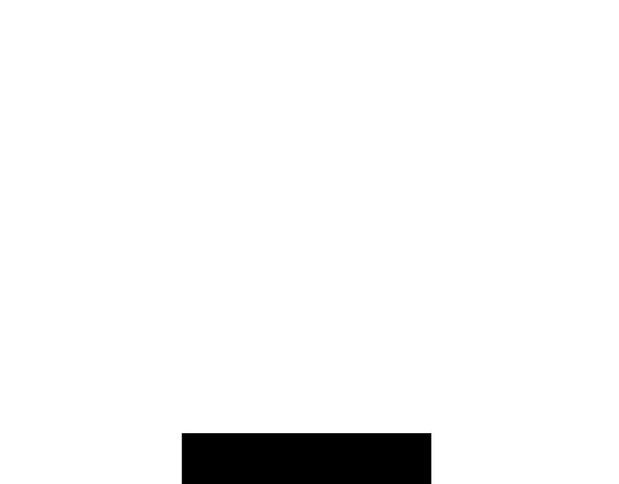 211.jpg