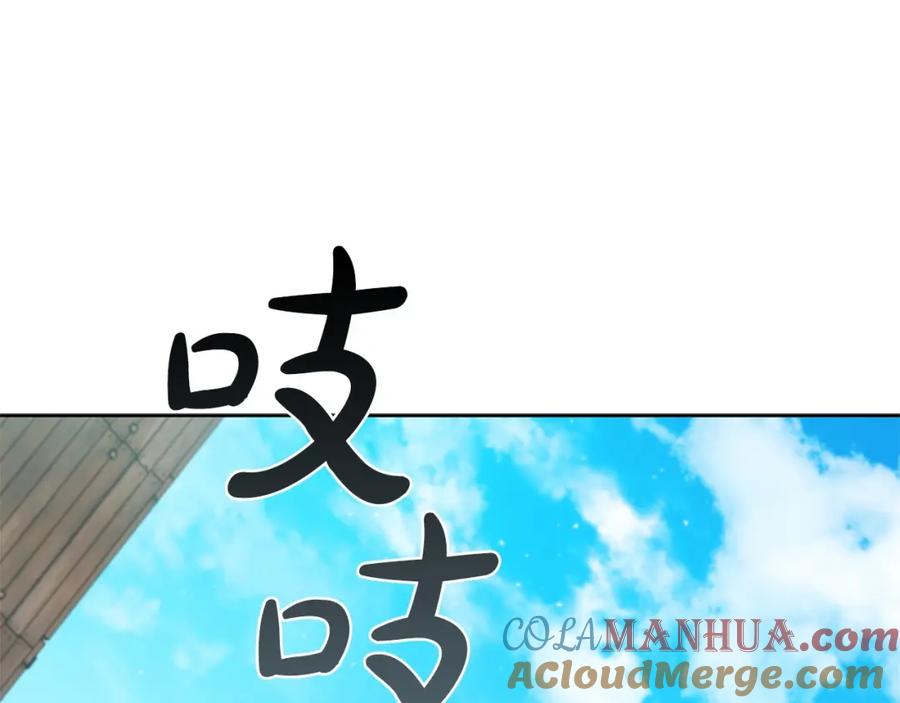 113.jpg