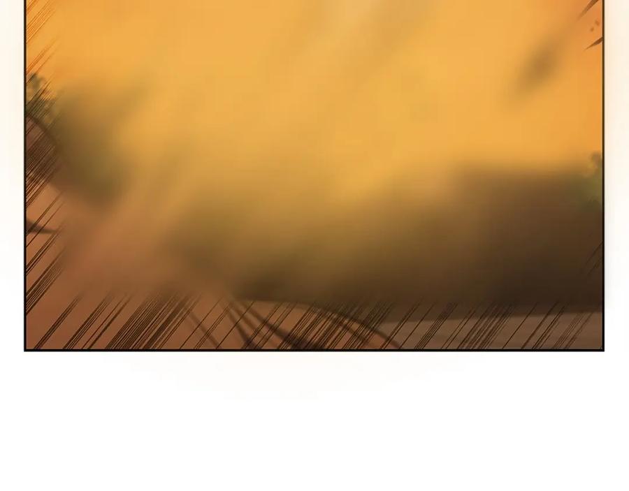 206.jpg