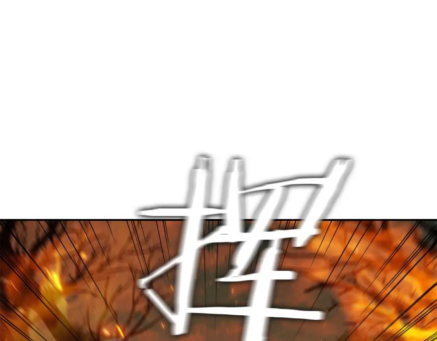 163.jpg