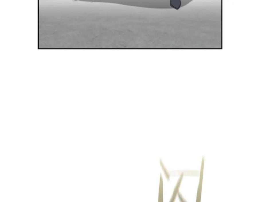 155.jpg