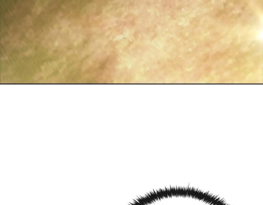 194.jpg