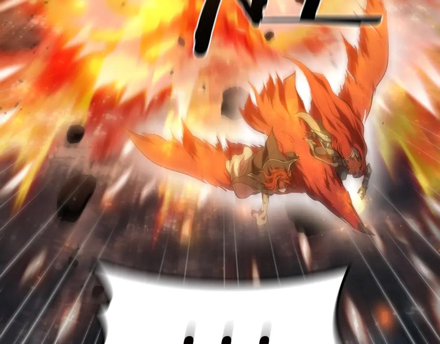 148.jpg