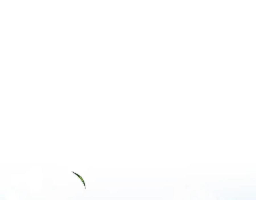 95.jpg