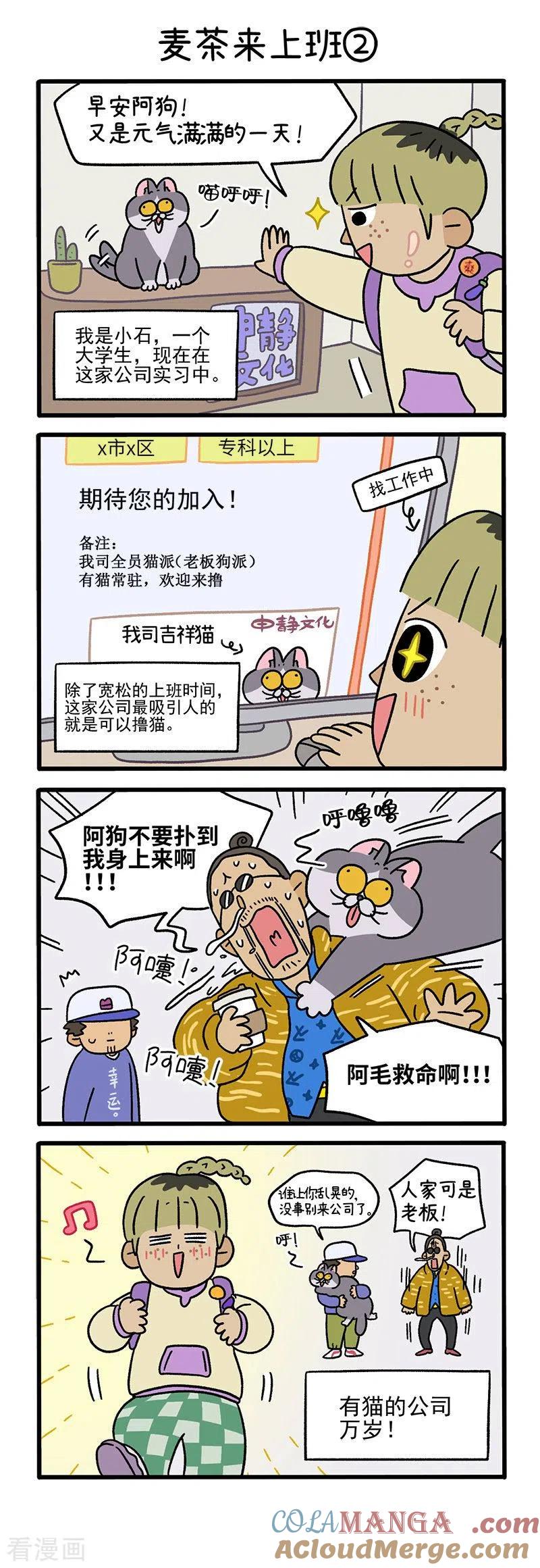 第63话1麦茶来上班-阿满和麦茶-新漫画 日胖大海寺（第3张）
