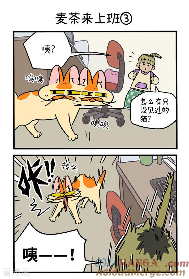 第63话1麦茶来上班-阿满和麦茶-新漫画 日胖大海寺（第4张）