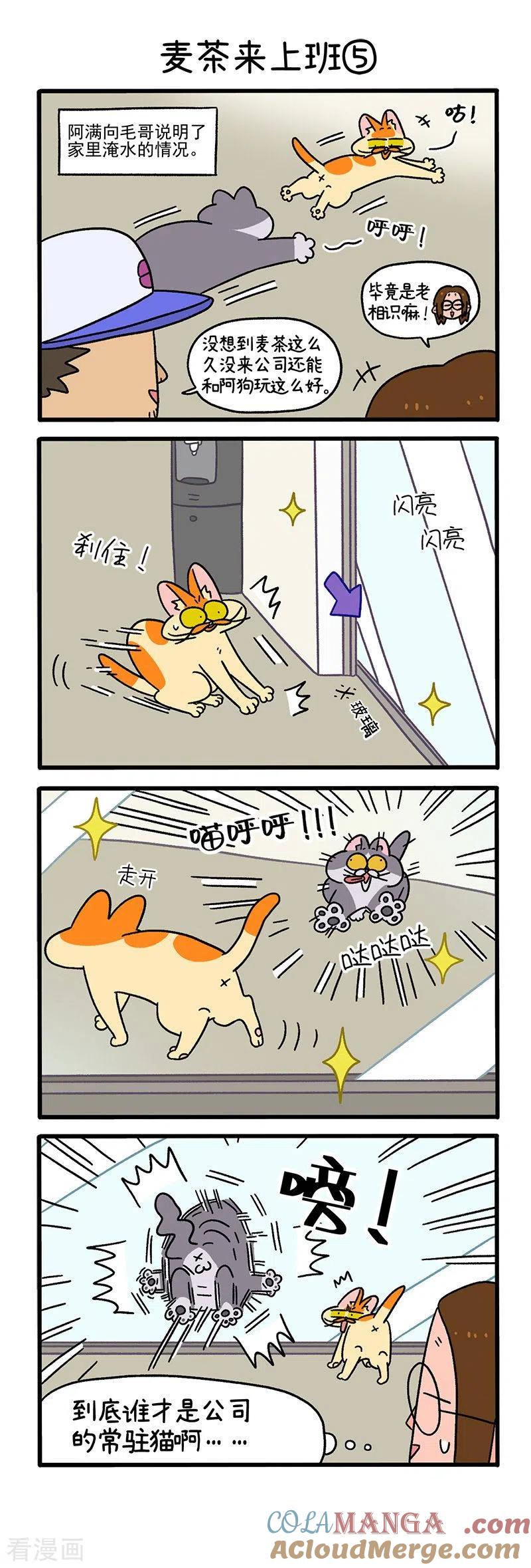 第63话2麦茶来上班-阿满和麦茶-新漫画 日胖大海寺（第3张）
