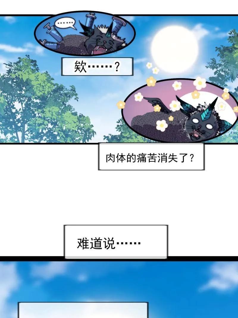 第1140话：黔驴技穷-开局一座山-娱乐没错（第20张）